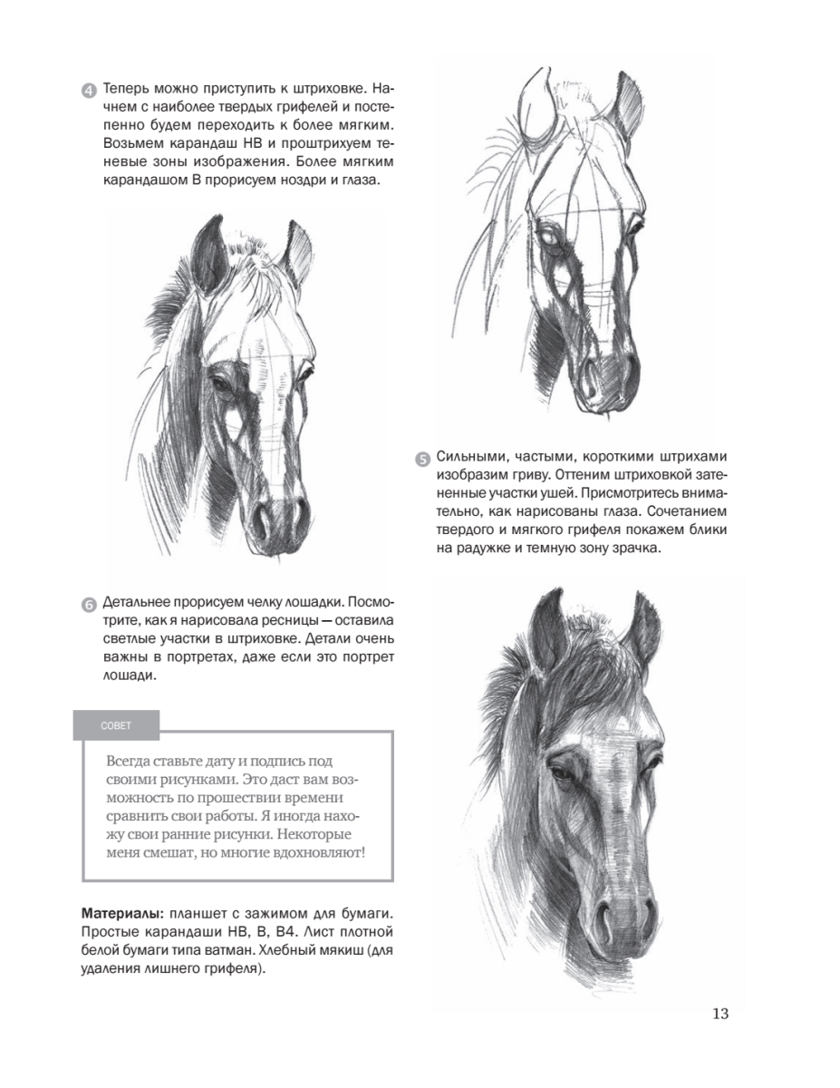 Легкие рисунки лошади